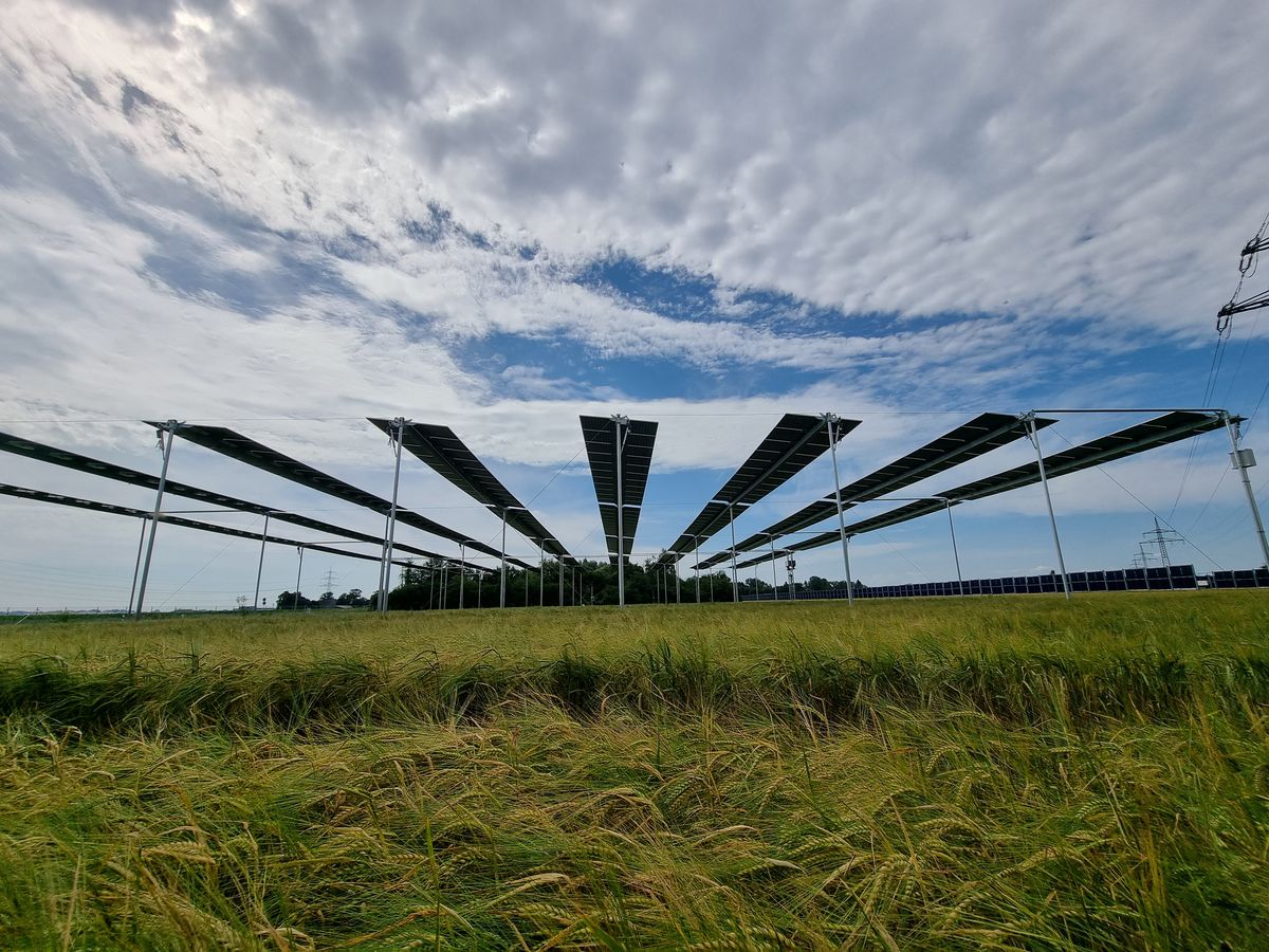 Overhead single-axis tracker array above a barley field