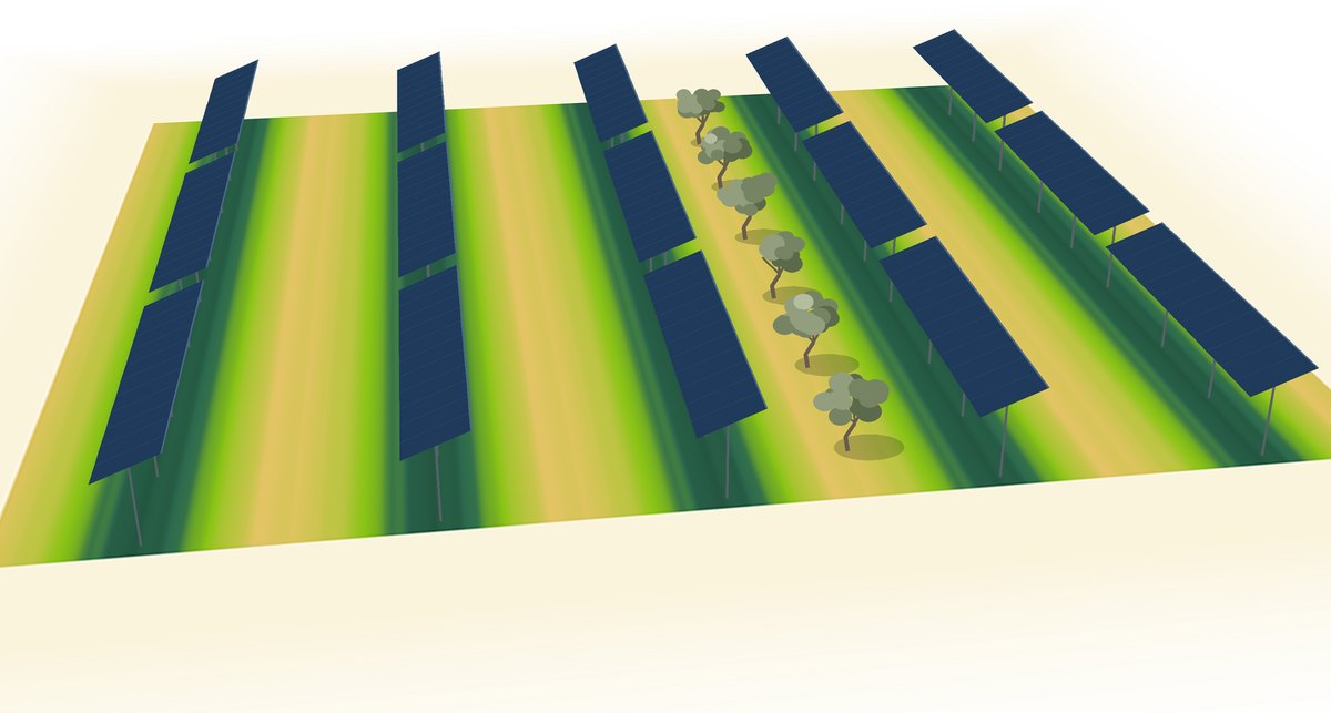 Tracker rows in 3D with the ground coloured by annual light: darker under each row, brighter between the rows
