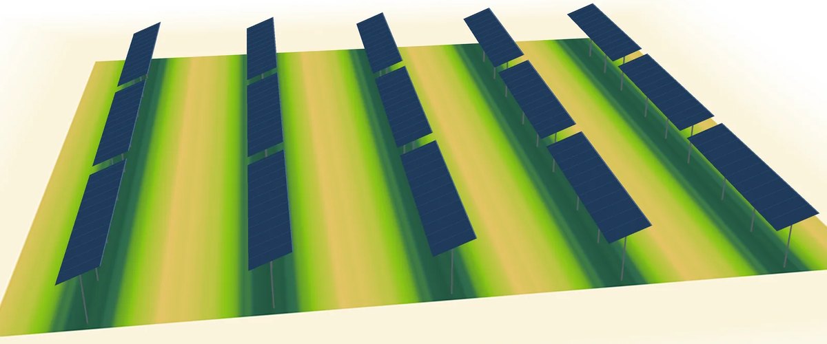 Tracker rows in 3D with the ground coloured by annual light: darker under each row, brighter between the rows